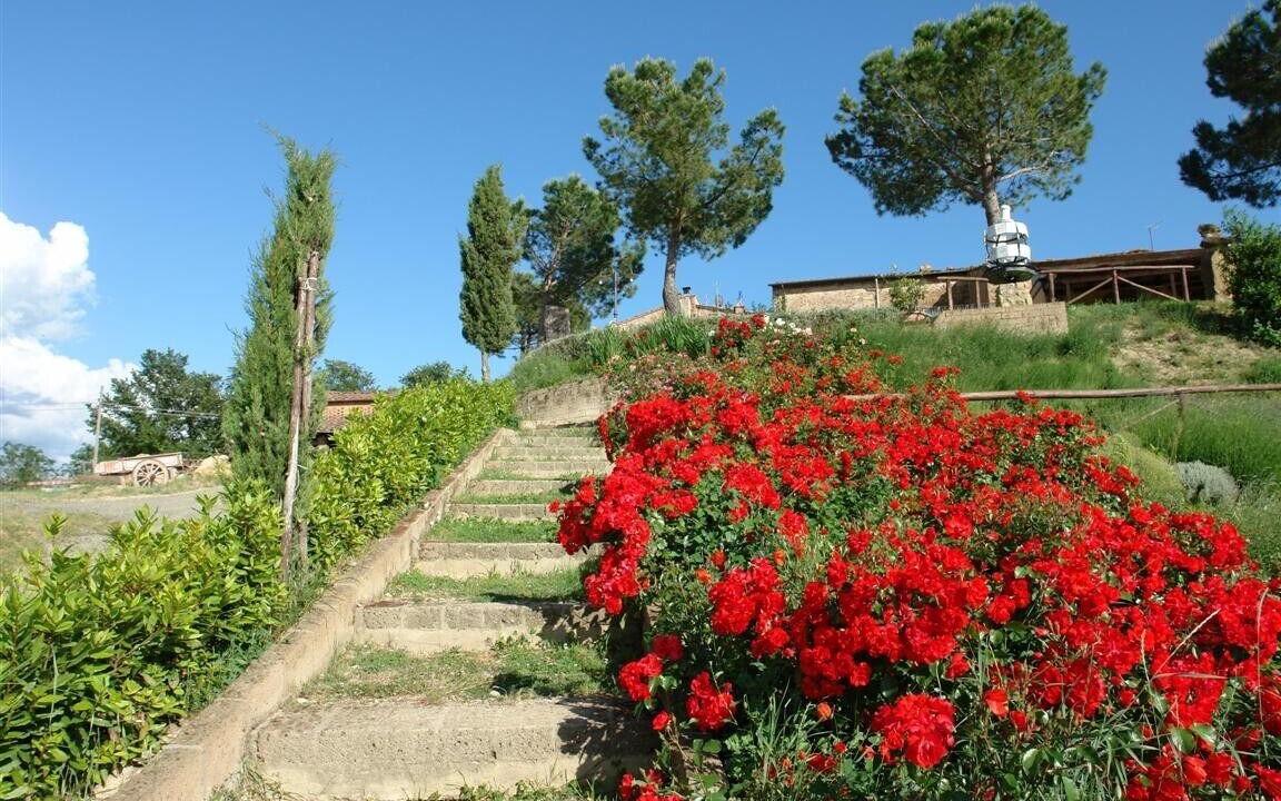 Photo of Outdoor in Montaione