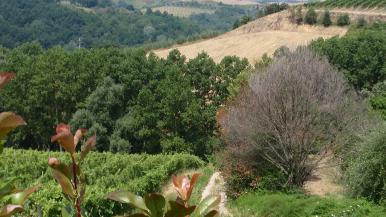 Photo of Outdoor in Montaione