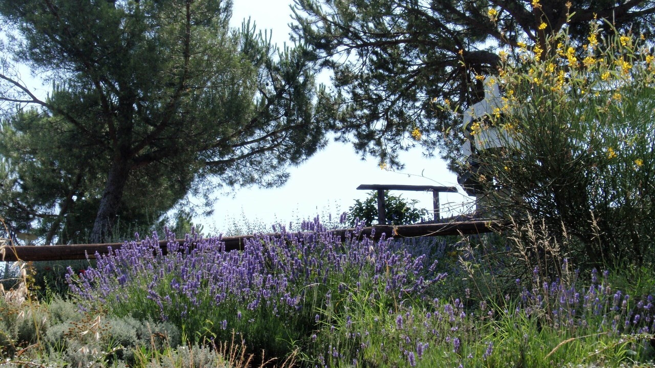 Photo of Outdoor in Montaione