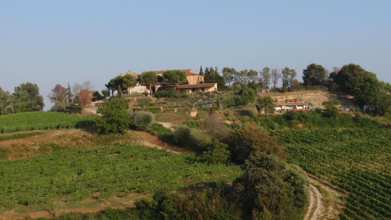 Photo of Others in Montaione