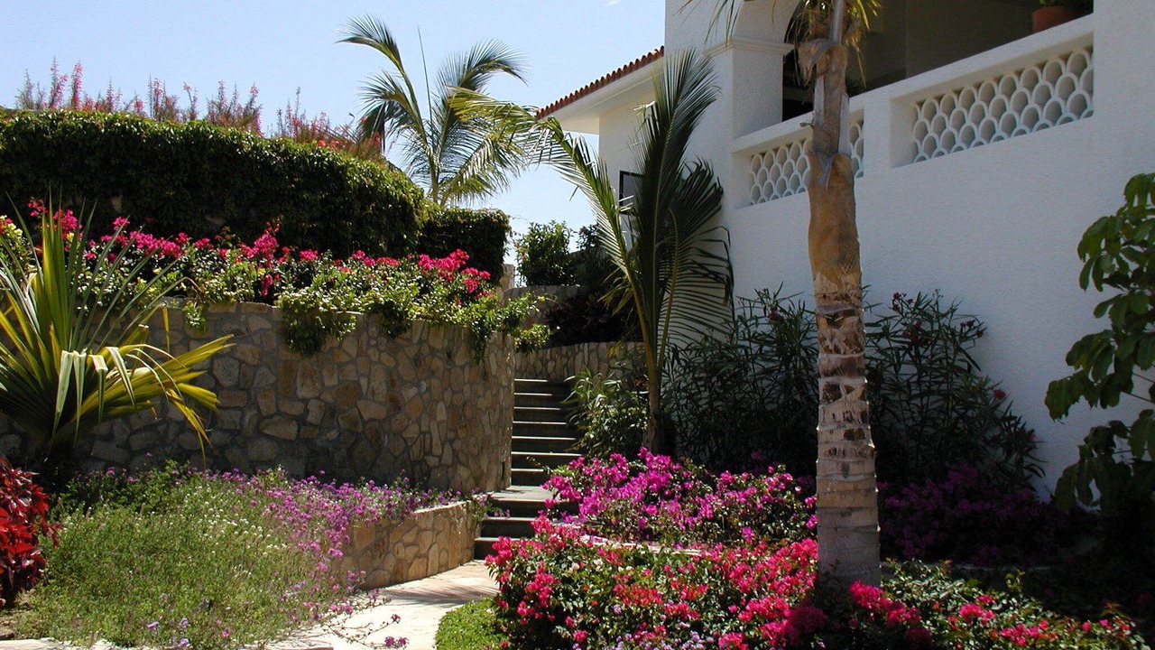 Photo of Outdoor in Palmilla