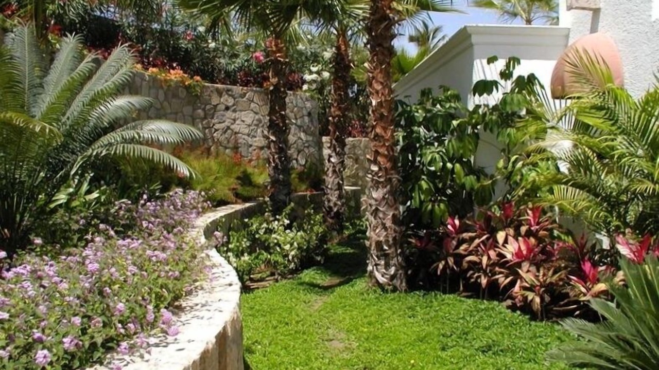 Photo of Others in Palmilla