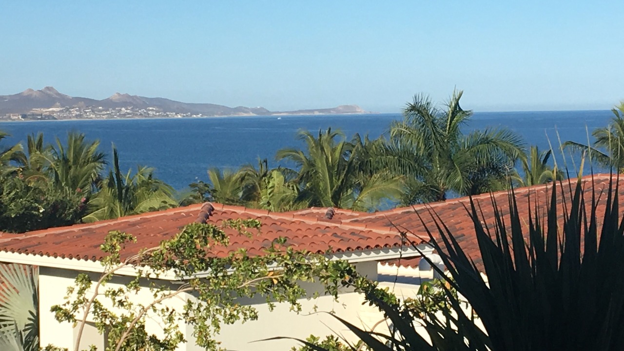Photo of Others in Palmilla