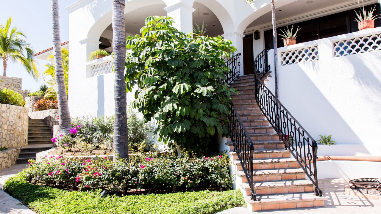 Photo of Outdoor in Palmilla