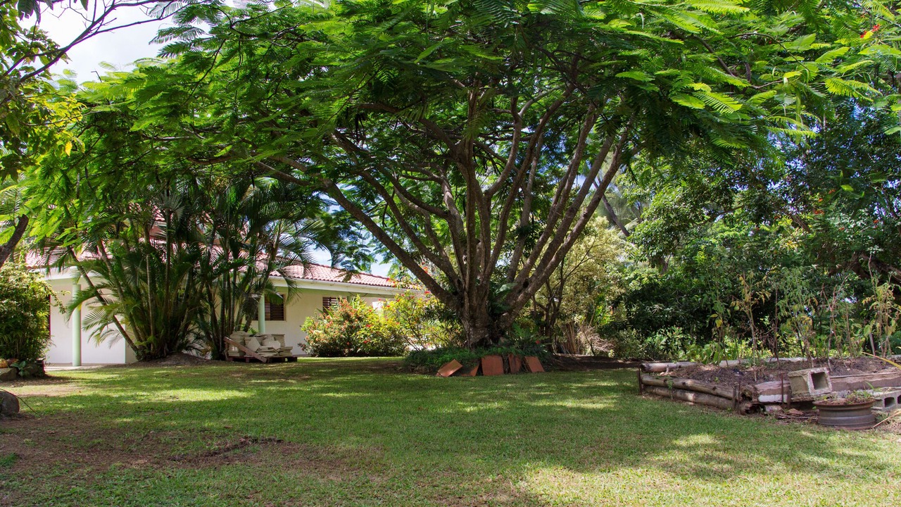 Photo of Outdoor in Parlatuvier