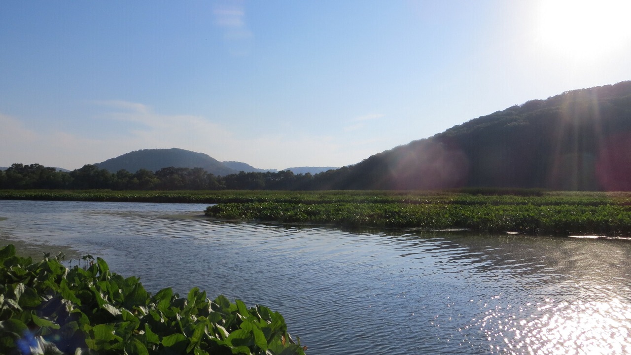 Photo of Outdoor in Trempealeau