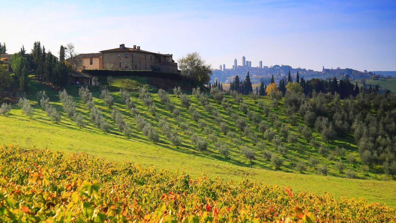 Photo of Others in San Gimignano