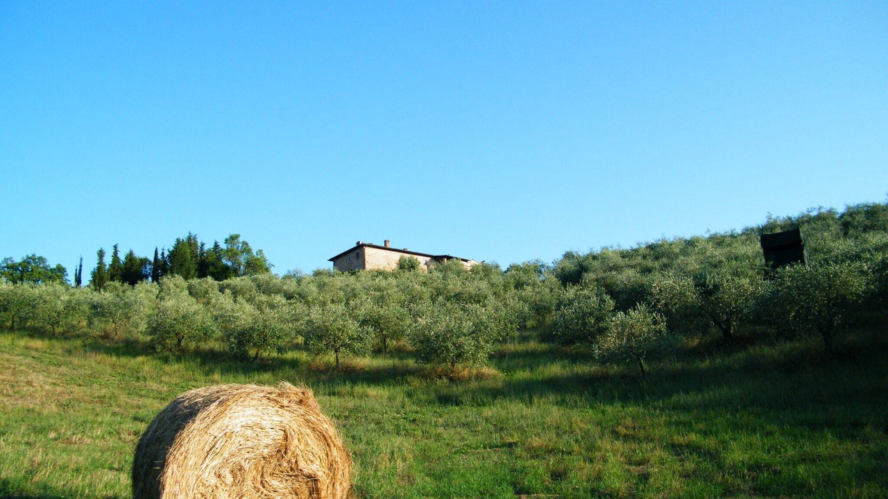 Photo of Outdoor in San Gimignano