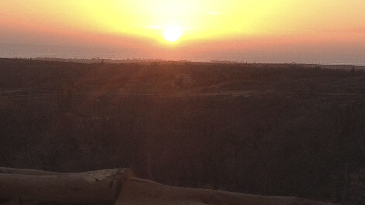 Photo of Others in Todos Santos