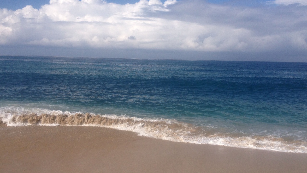 Photo of Others in Todos Santos