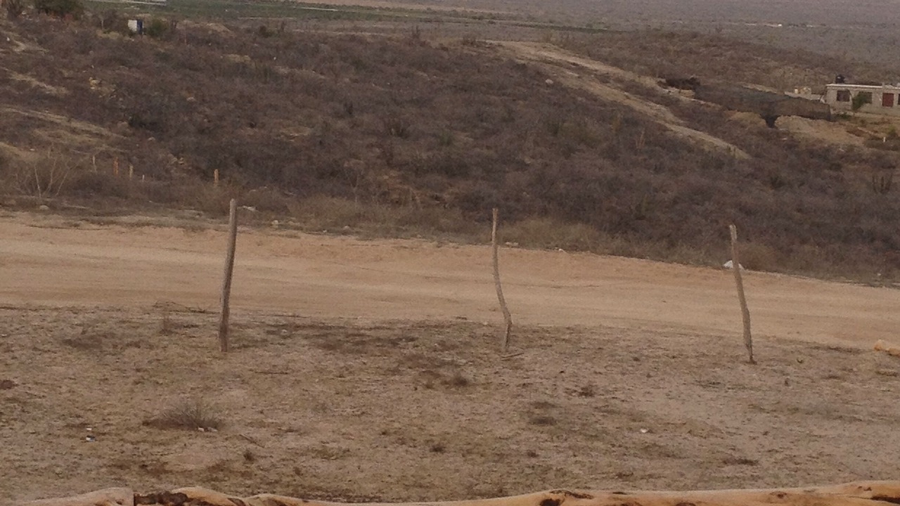Photo of Others in Todos Santos