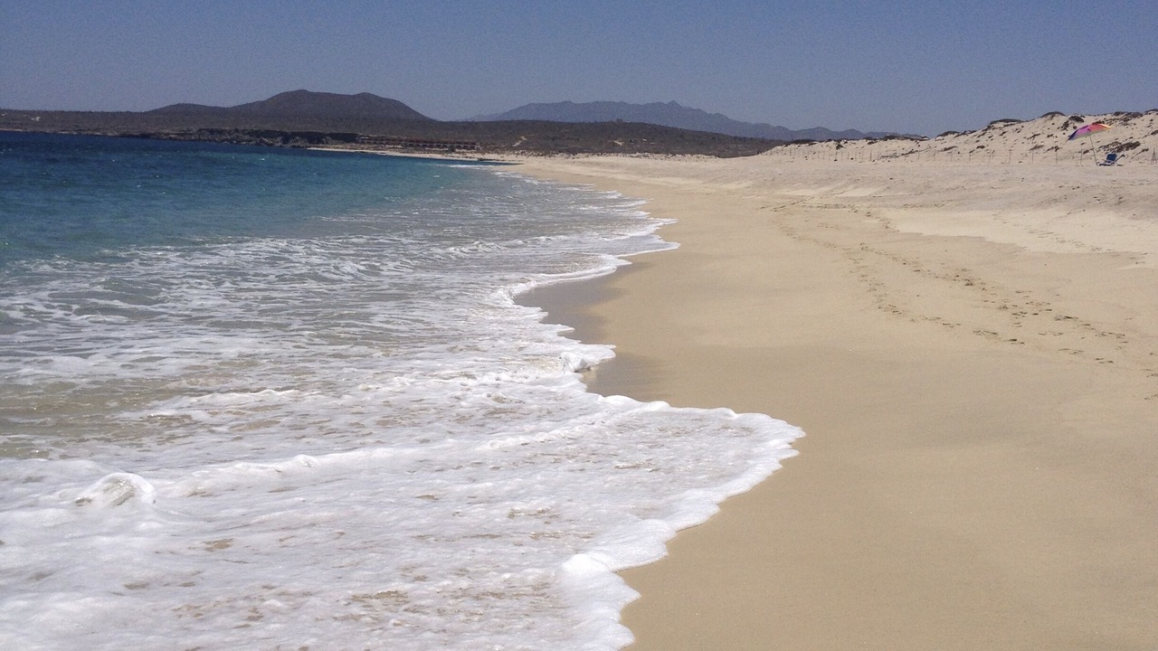 Photo of Others in Todos Santos