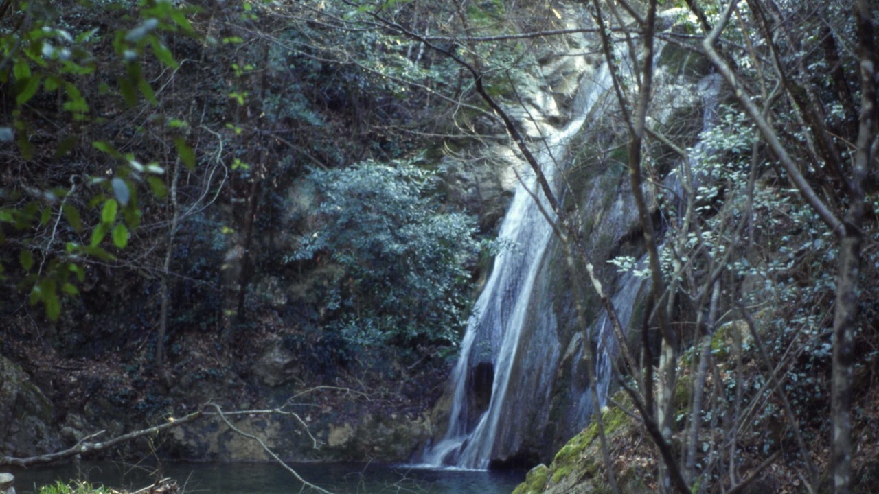 Photo of Outdoor in Chianni