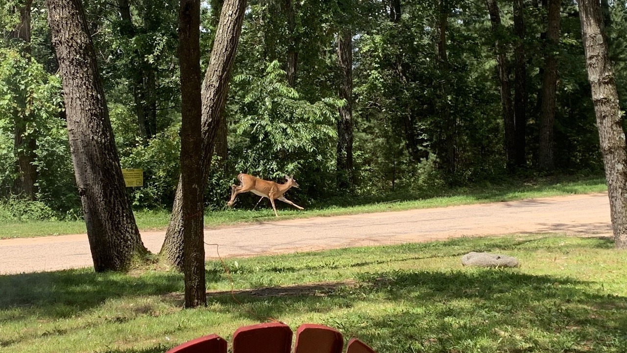 Photo of Outdoor in Friendship