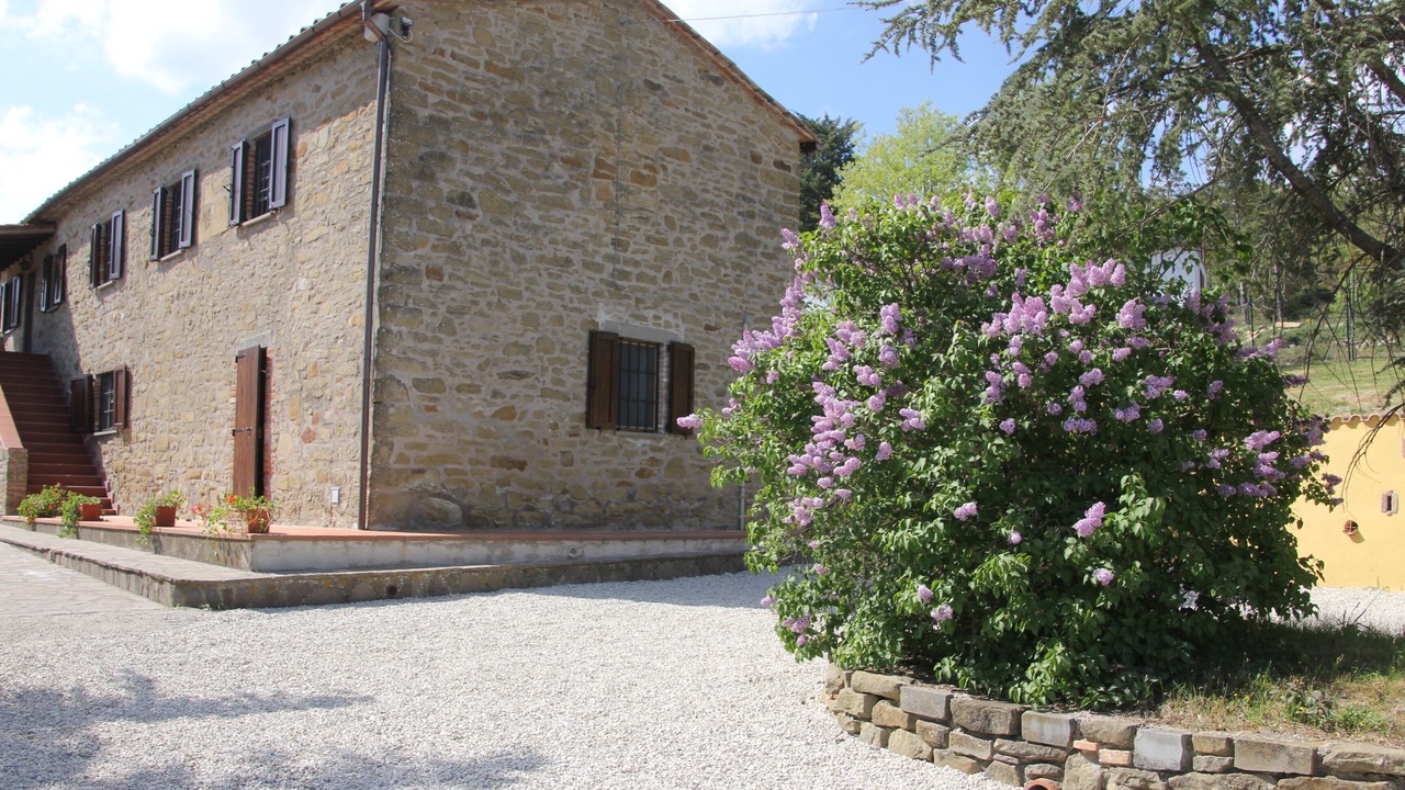 Photo of Others in Tuoro sul Trasimeno