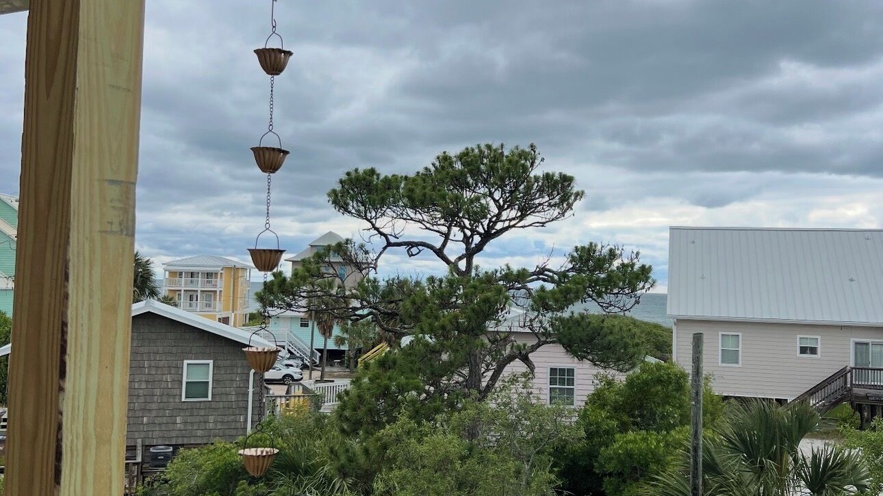 Photo of Outdoor in Cape San Blas