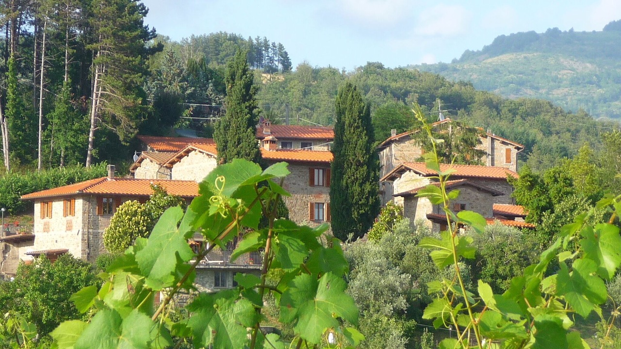 Photo of Outdoor in Pratovecchio
