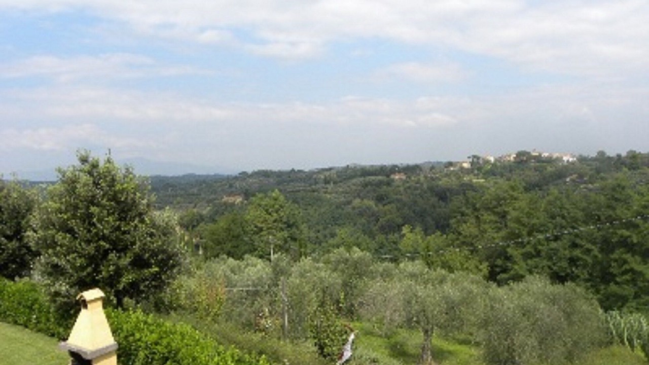 Photo of Others in Palaia