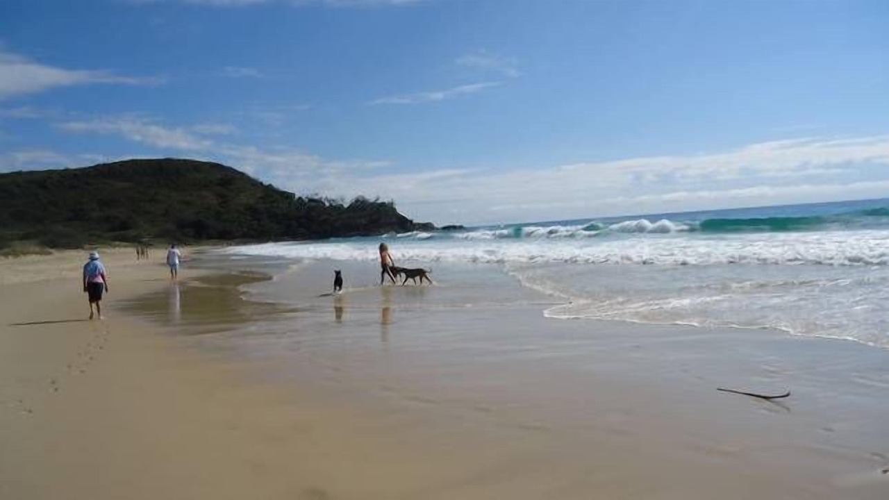Photo of Others in Noosa Heads