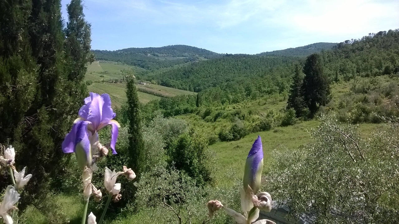 Photo of Outdoor in Scandicci