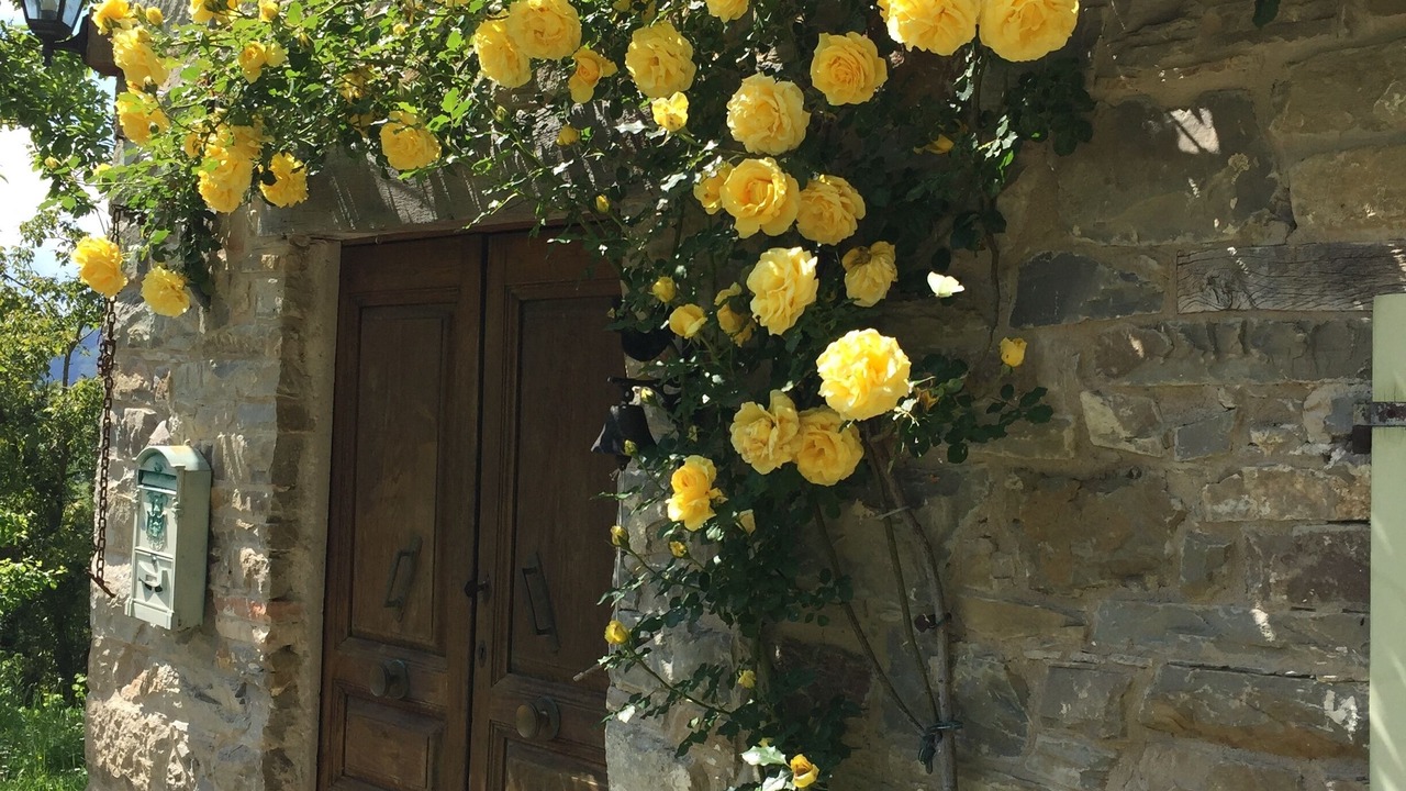 Photo of Outdoor in Palagano