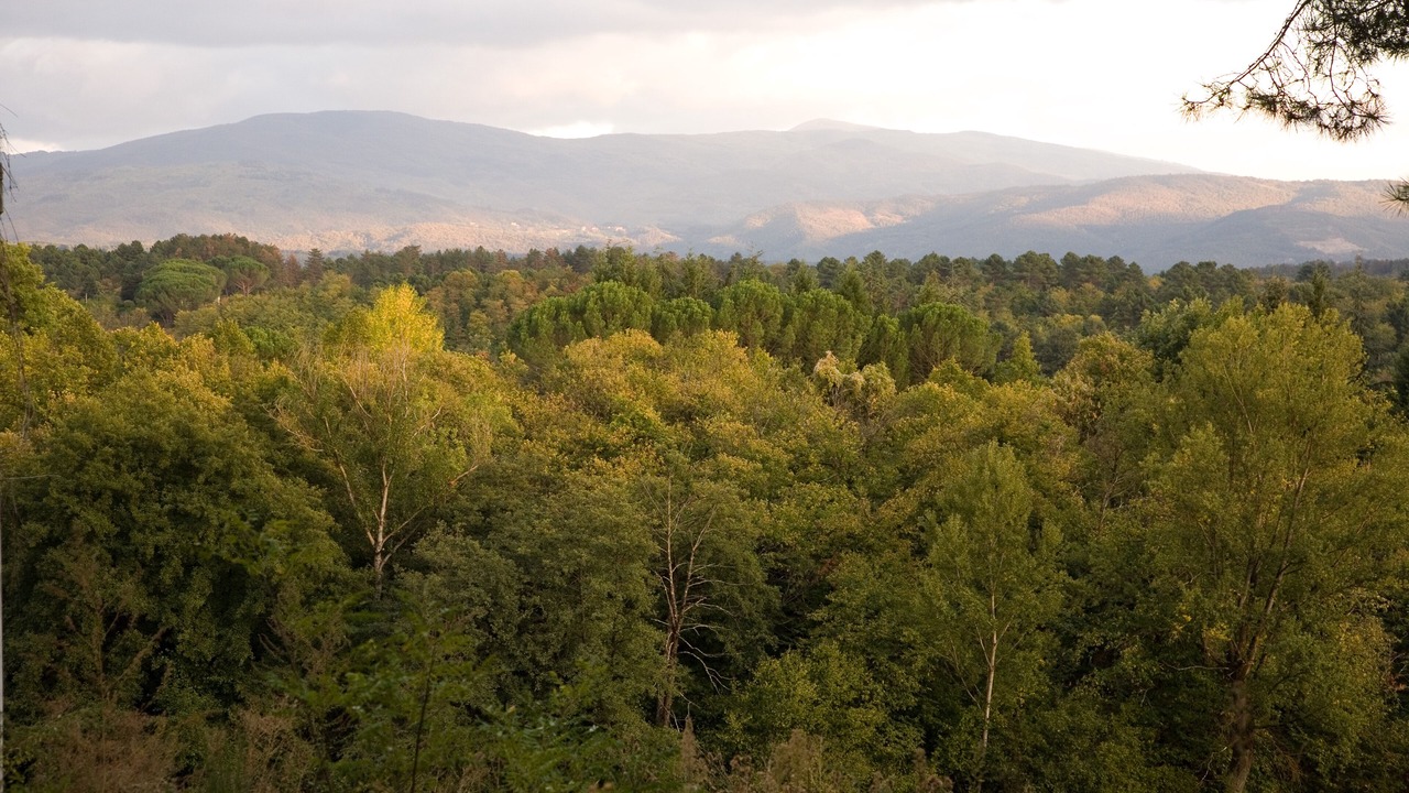 Photo of Outdoor in Poppi