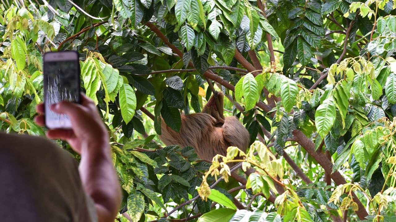 Photo of Others in Manuel Antonio