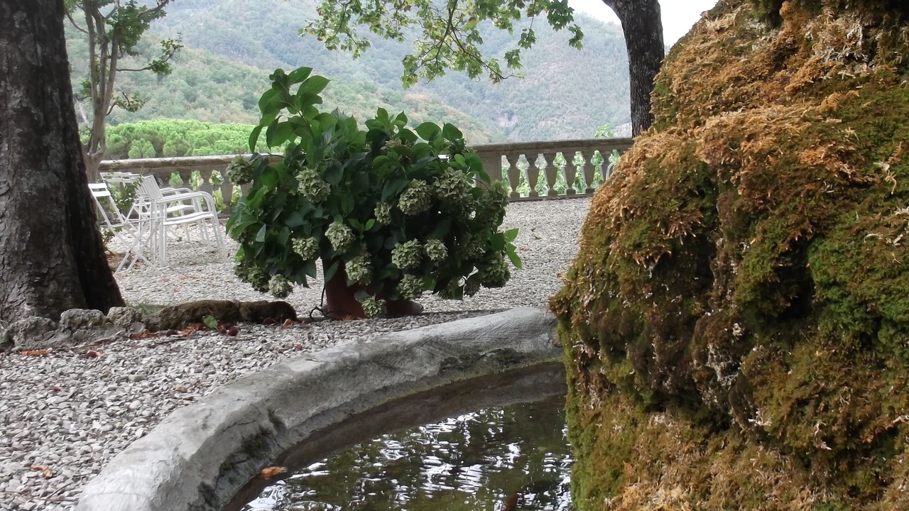 Photo of Outdoor in Londa
