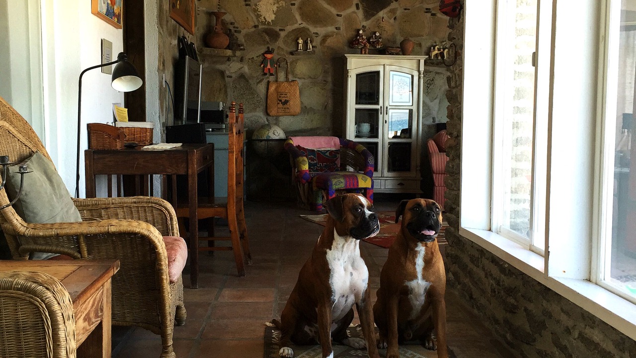 Photo of Others in La Fonda