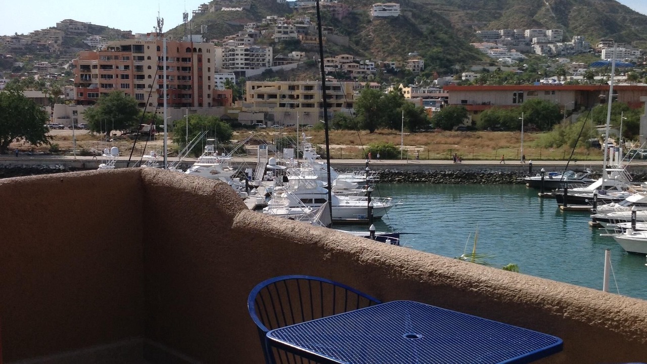 Photo of Others in Marina