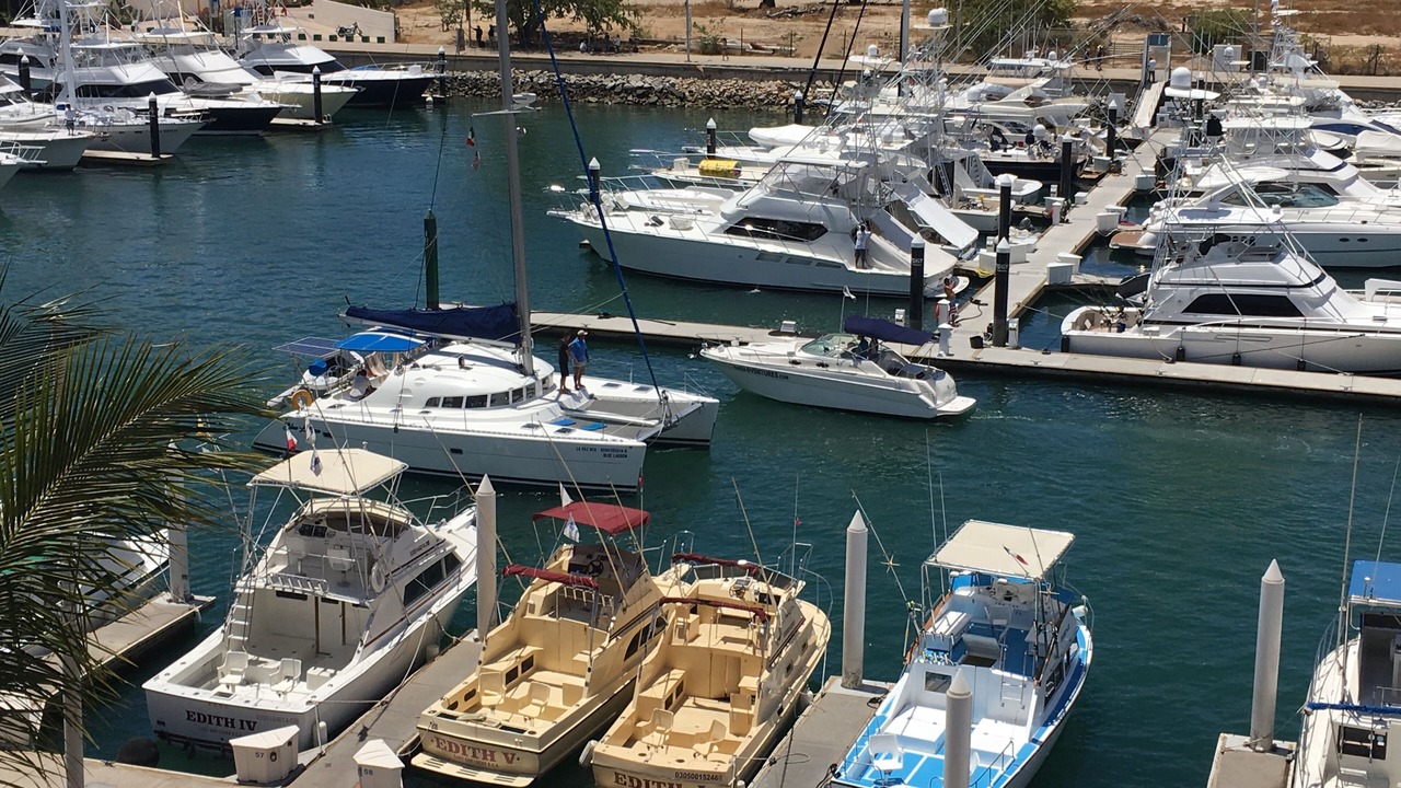 Photo of Others in Marina