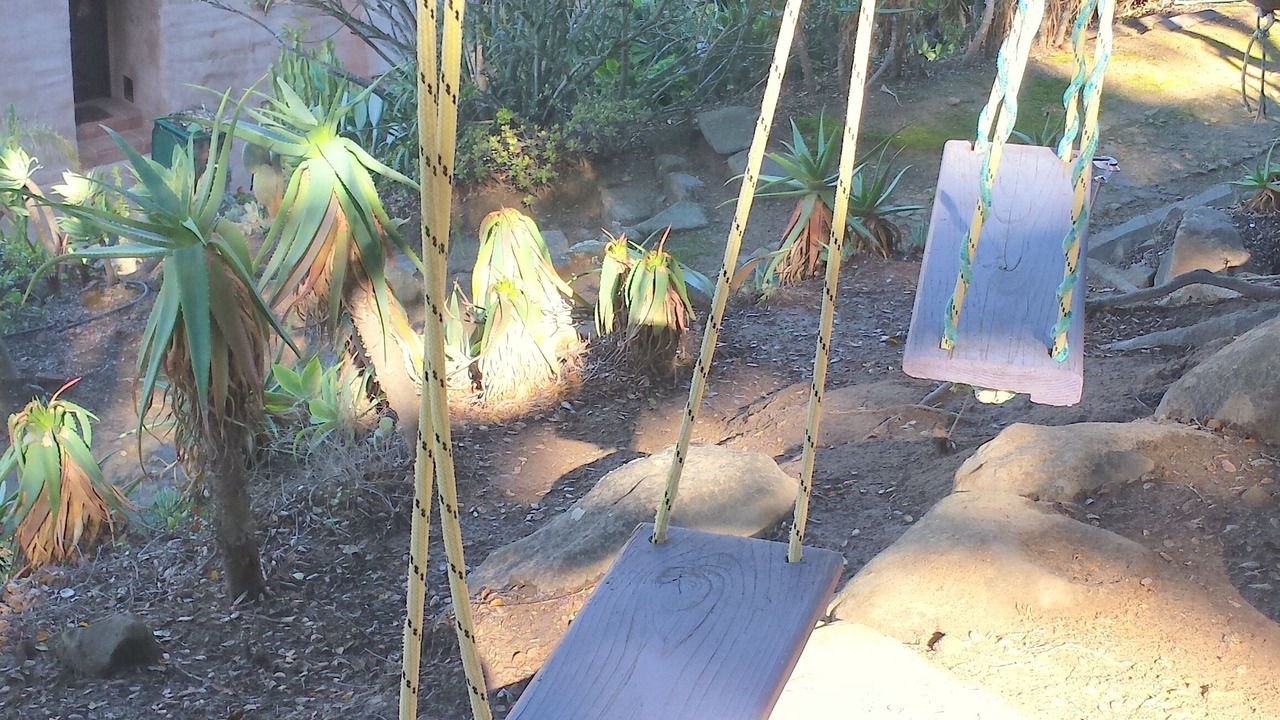 Photo of Others in Mission Canyon