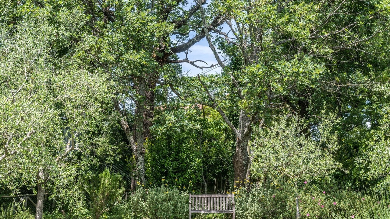 Photo of Outdoor in Barberino di Mugello