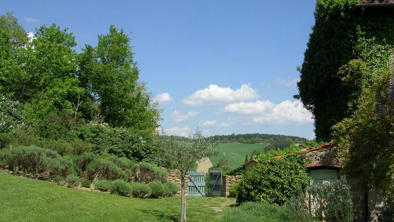 Photo of Others in Barberino di Mugello