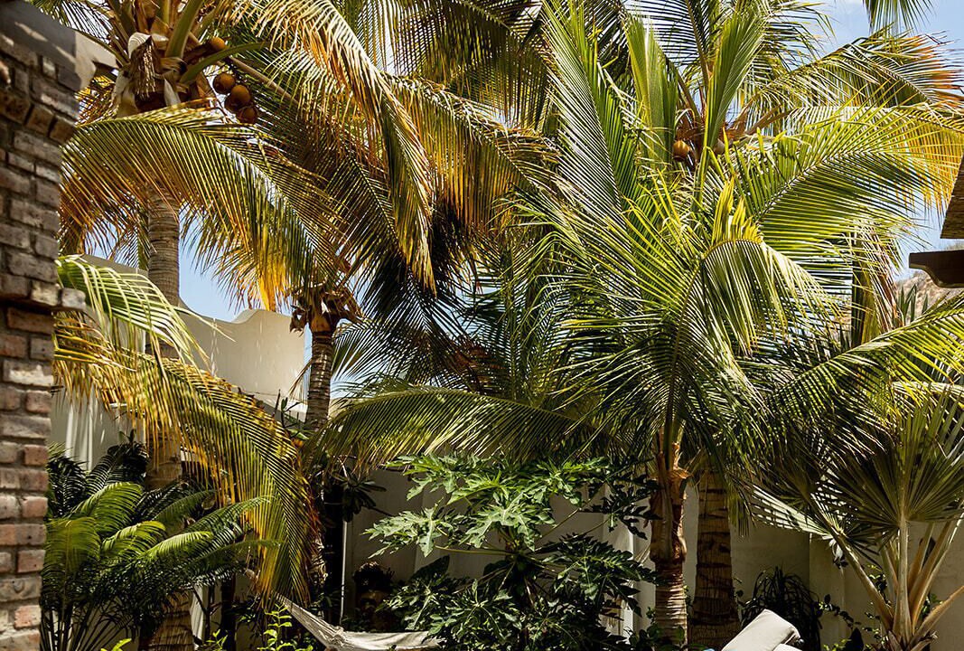 Photo of Patio Balcony in El Sargento