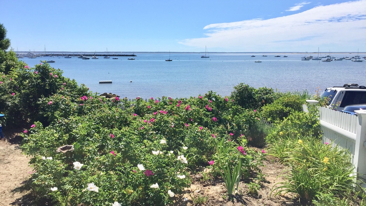 Photo of Others in Provincetown