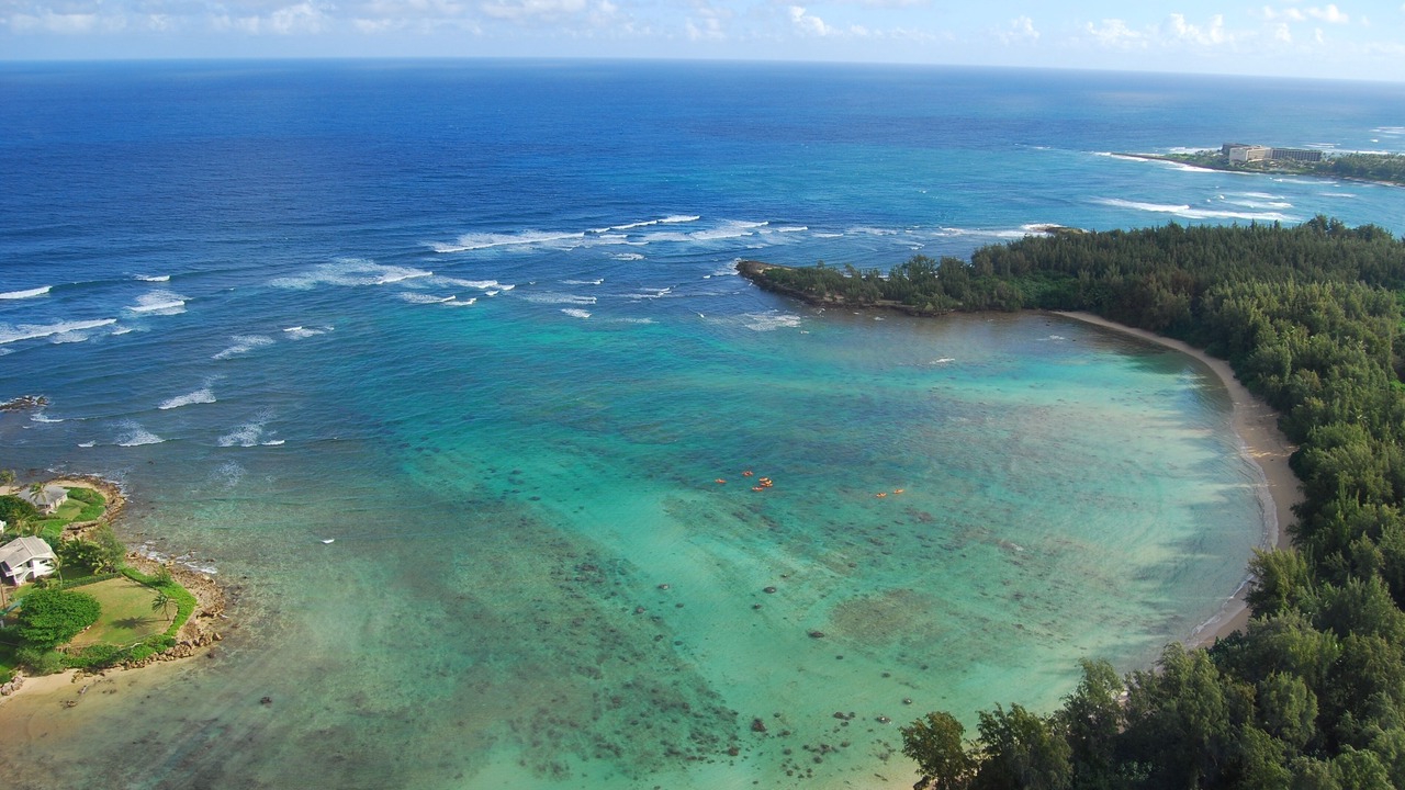 Photo of Others in Kahuku