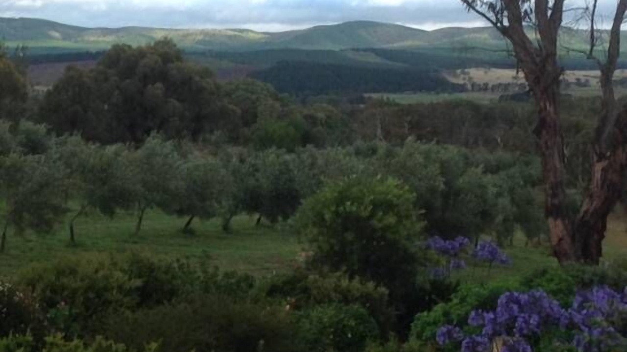 Photo of Outdoor in Carwoola