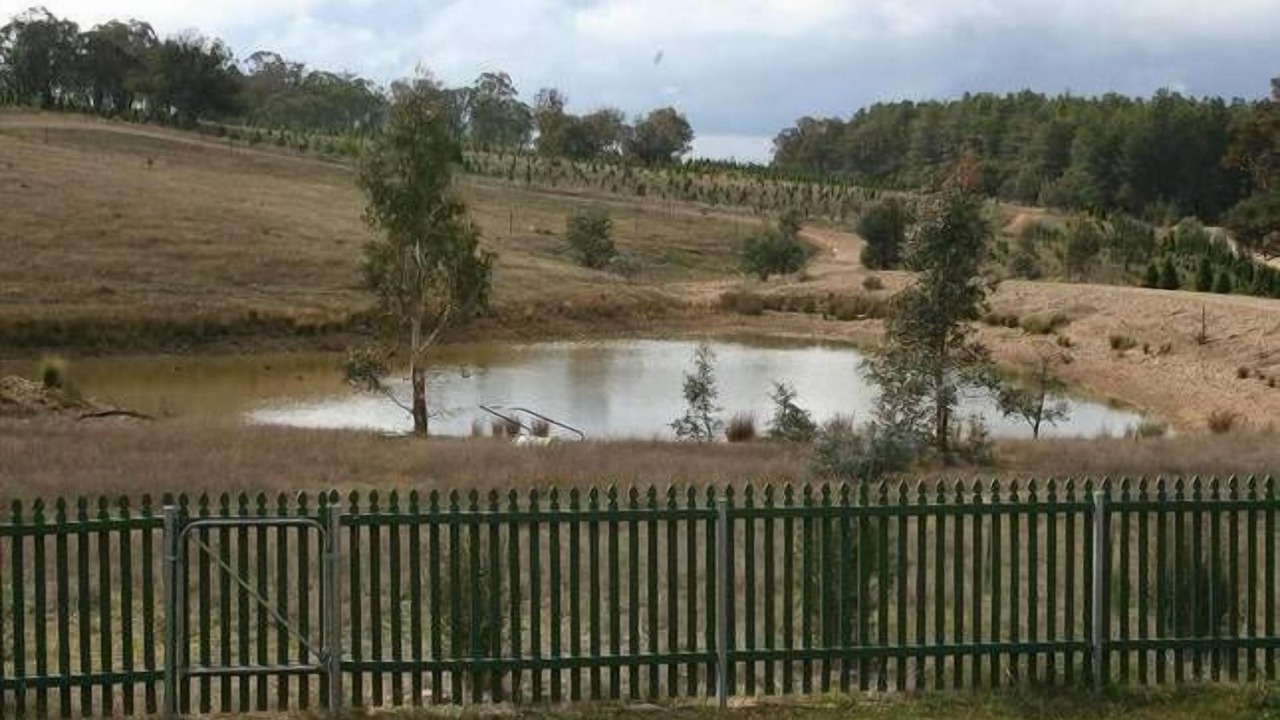 Photo of Others in Bywong