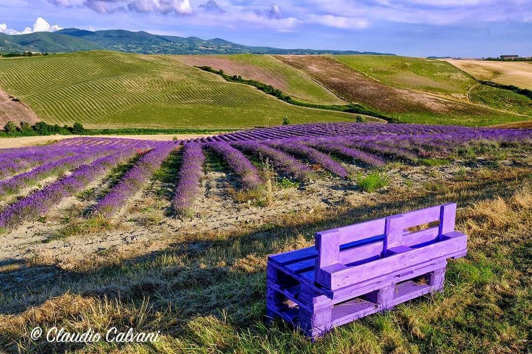 Photo of Outdoor in Pieve di Santa Luce
