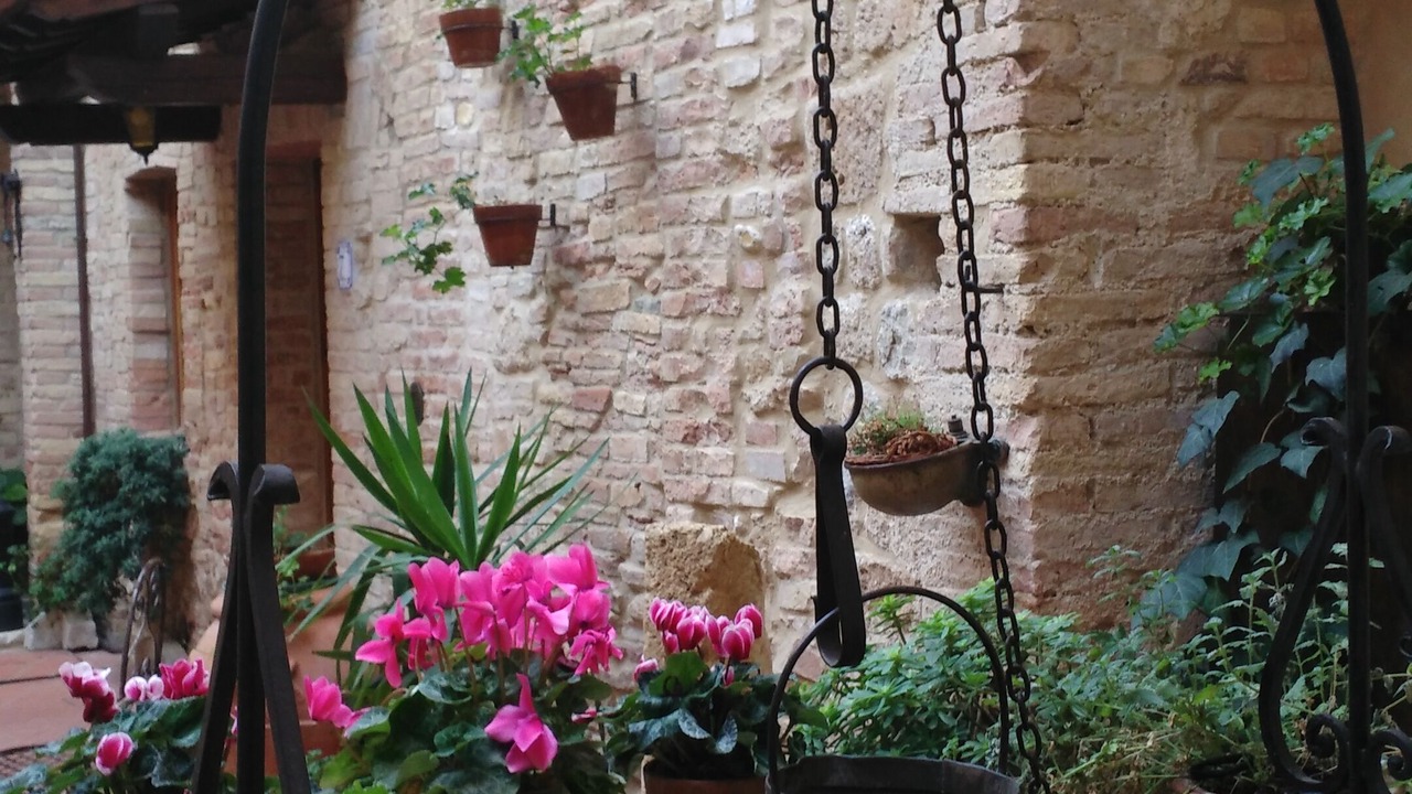 Photo of Outdoor in San Gimignano City Centre