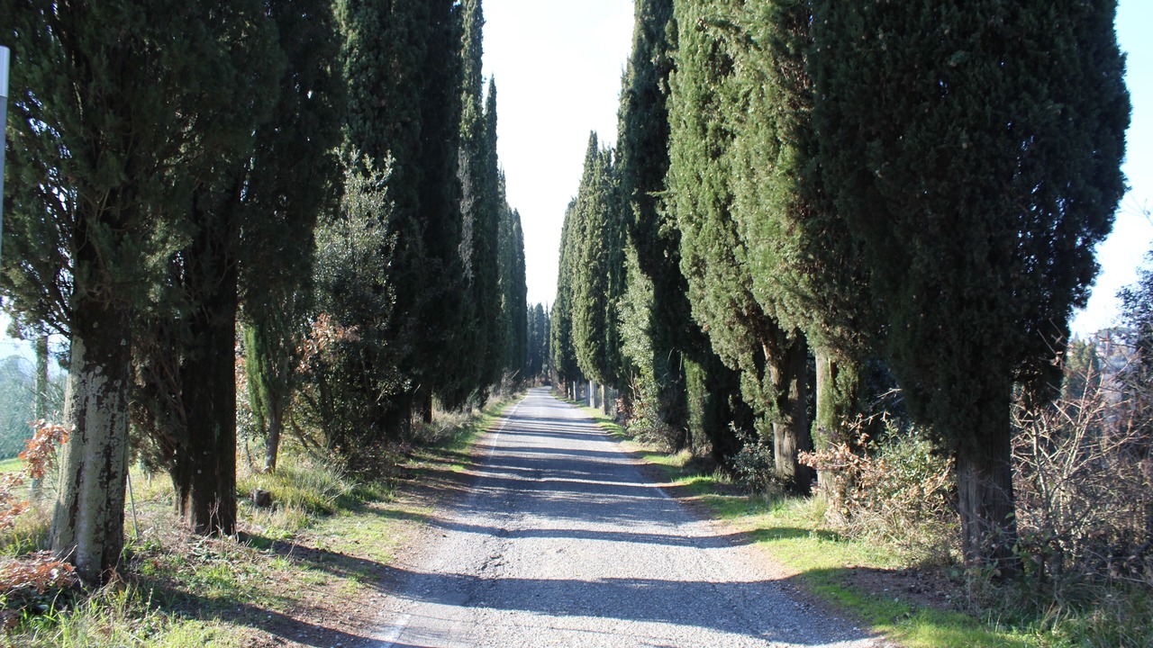 Photo of Others in Peccioli