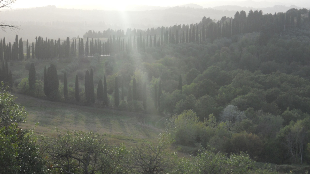 Photo of Others in Peccioli