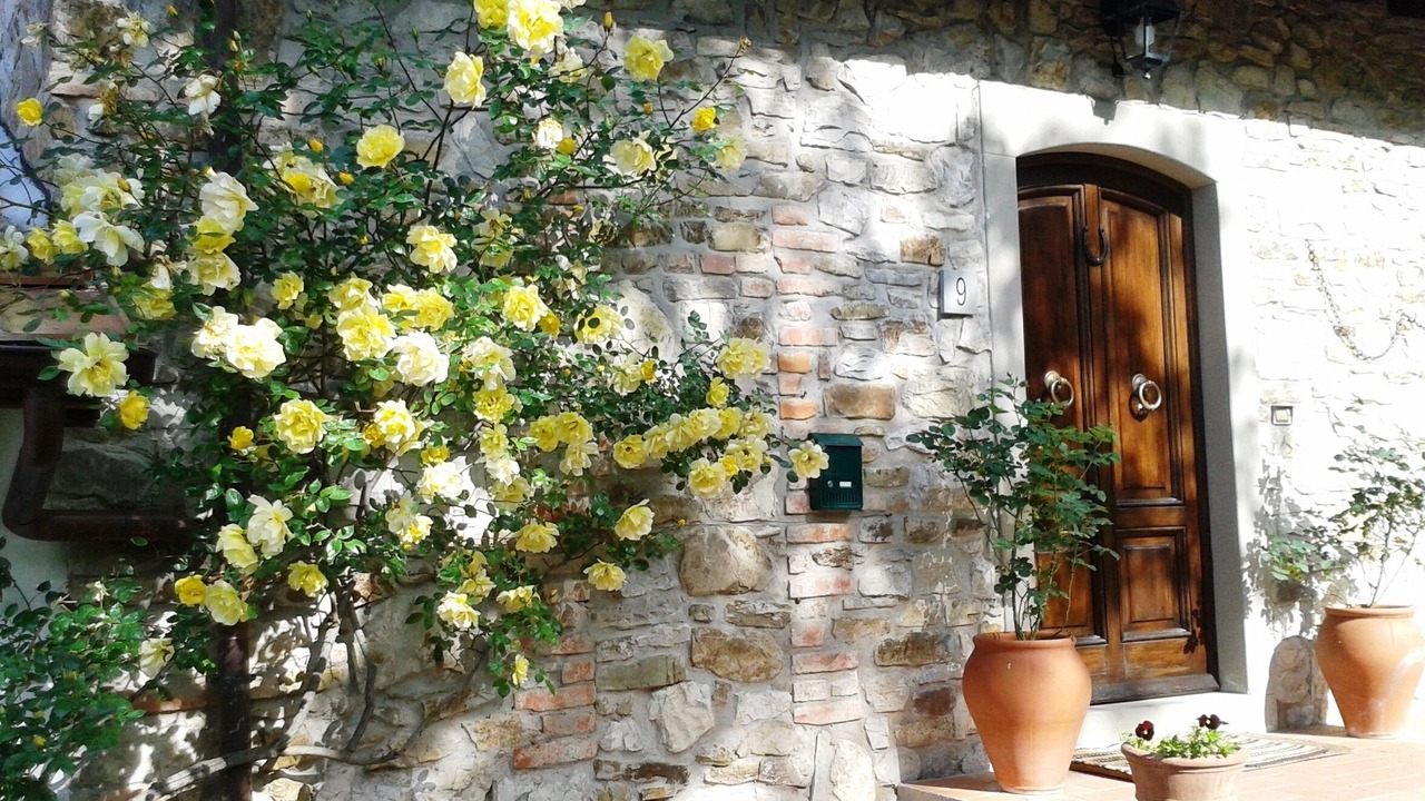 Photo of Outdoor in Vaiano