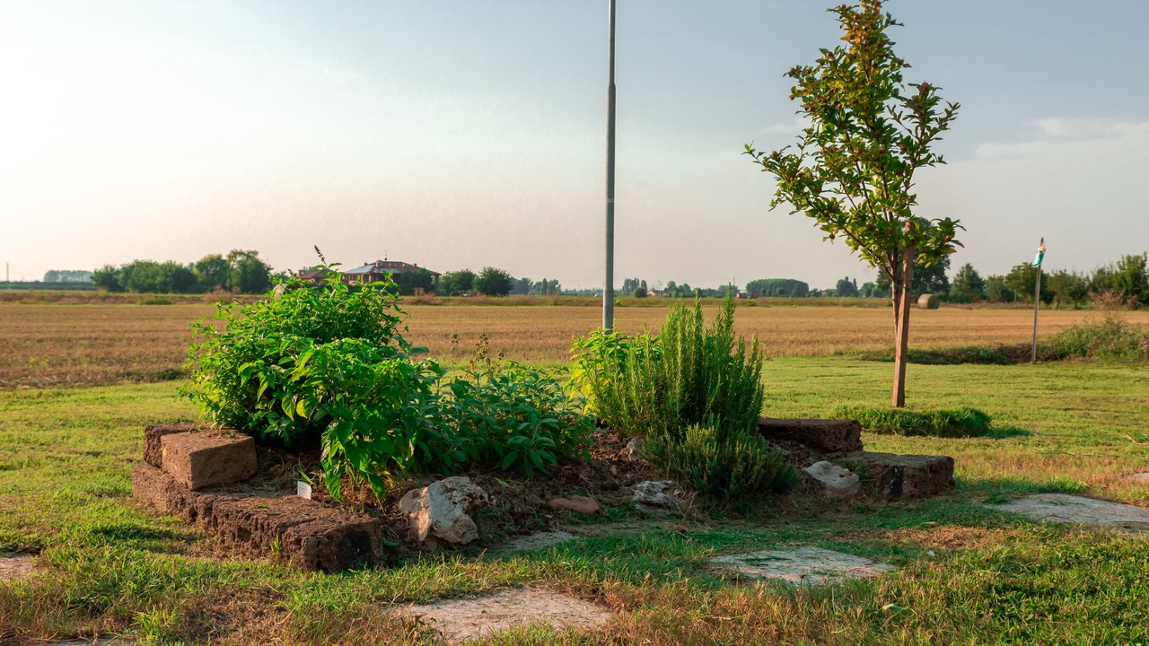 Photo of Outdoor in Castenaso