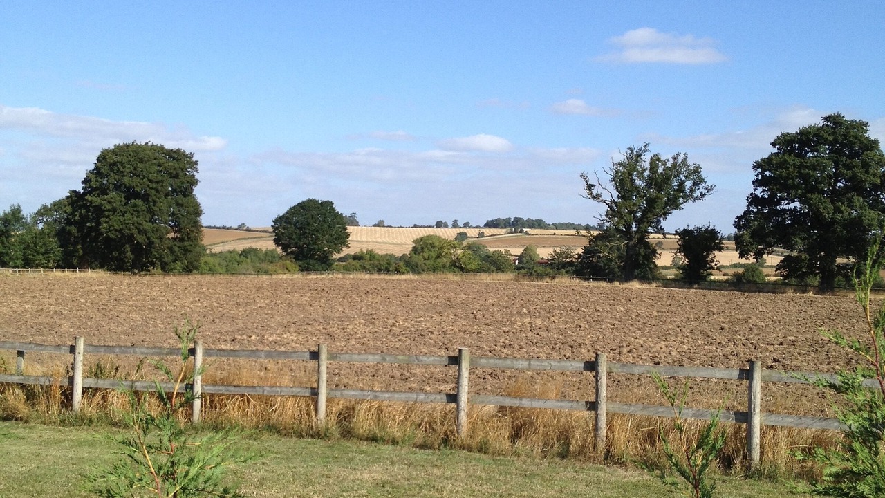 Photo of Others in Shipston on Stour