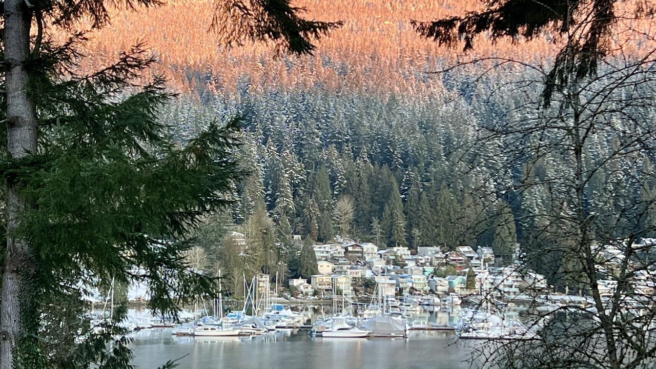 Photo of Others in Deep Cove