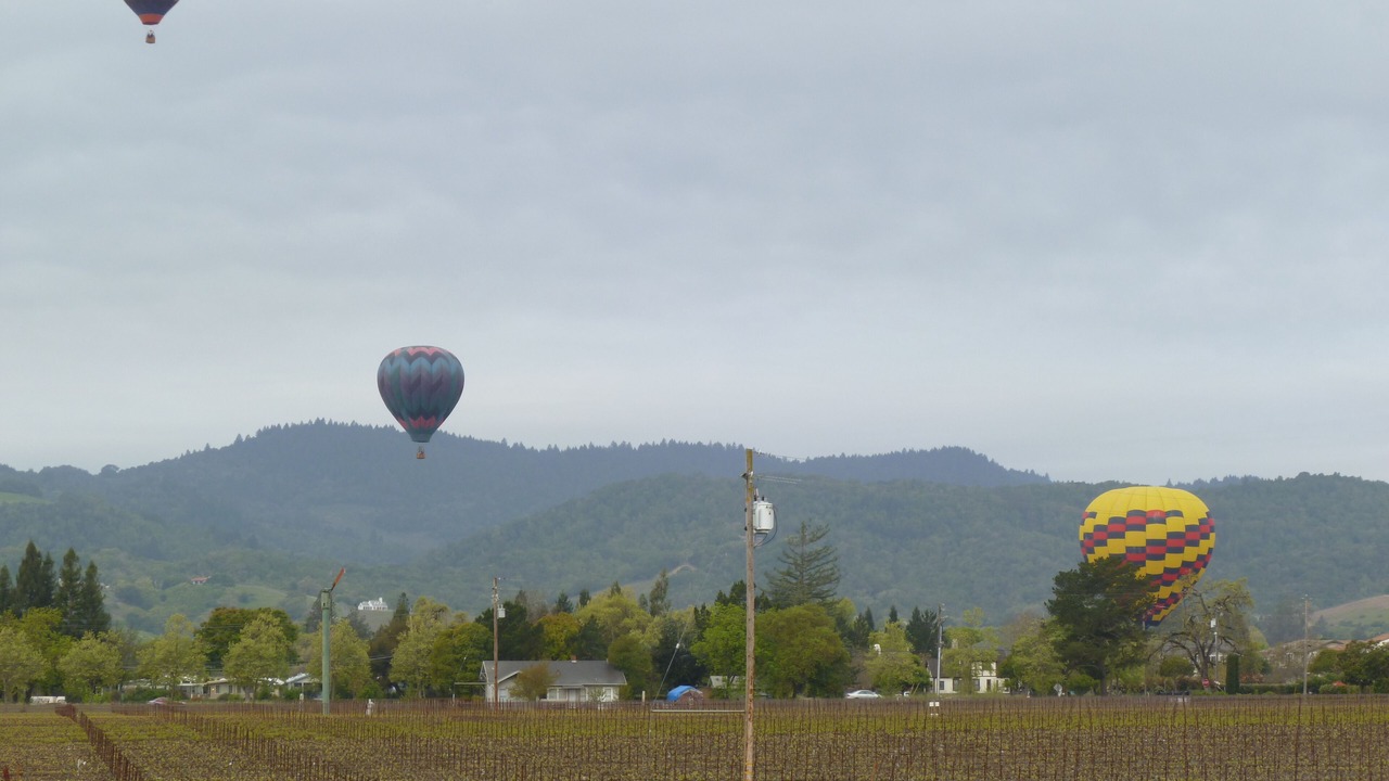 Photo of Others in Napa