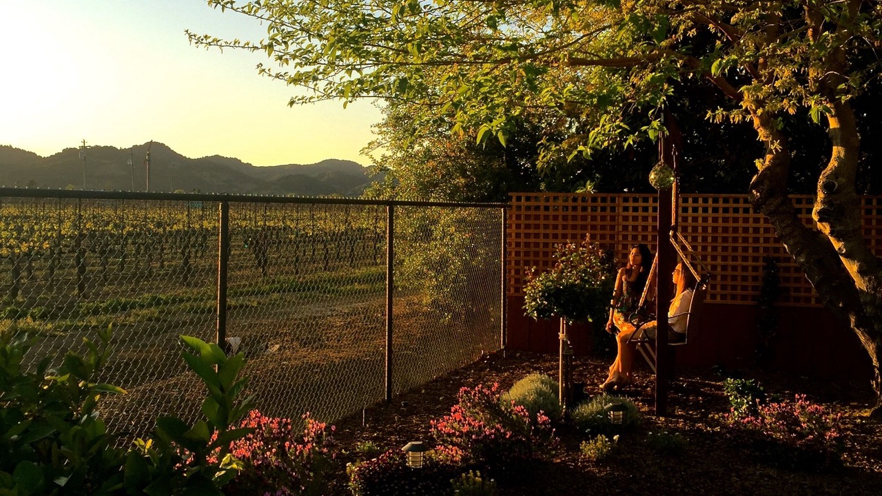 Photo of Others in Napa