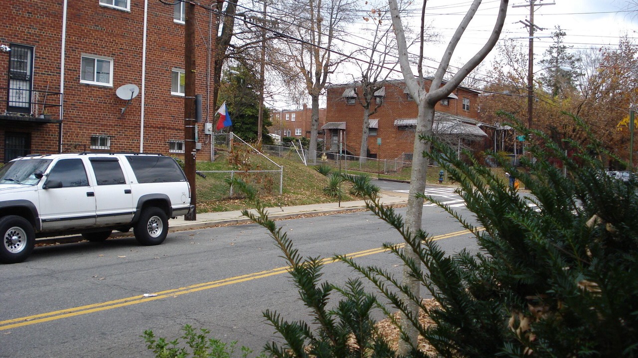 Photo of Others in Capitol View